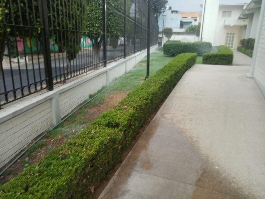 Jardinería México 10