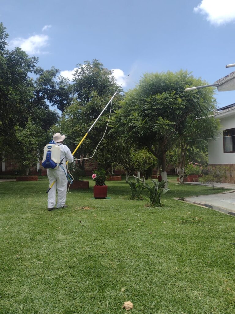 Jardinería México 12