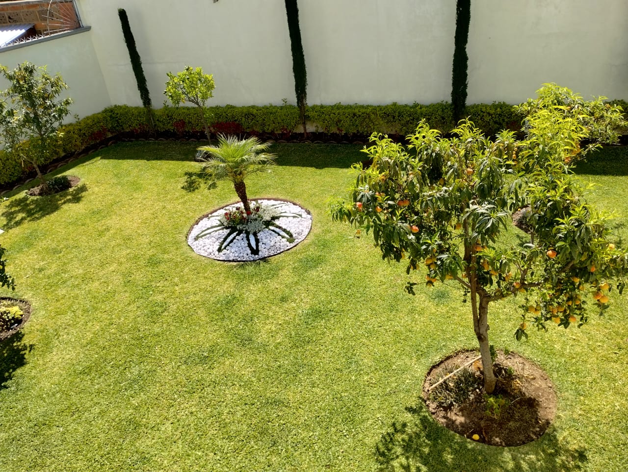 Jardinería México 2