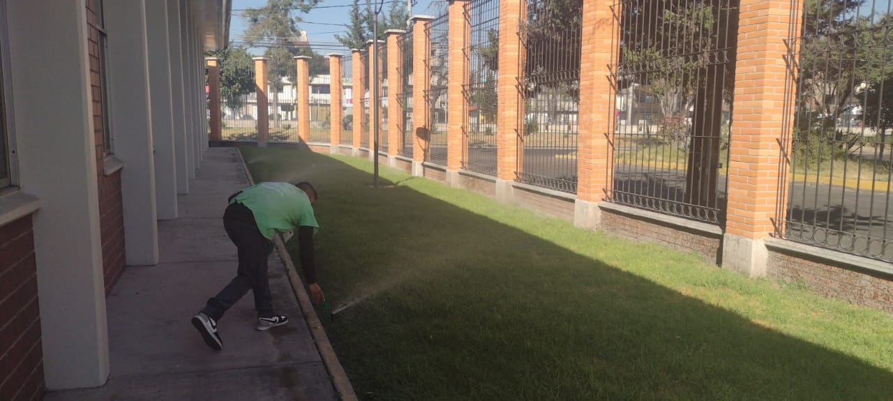 Jardinería México 3