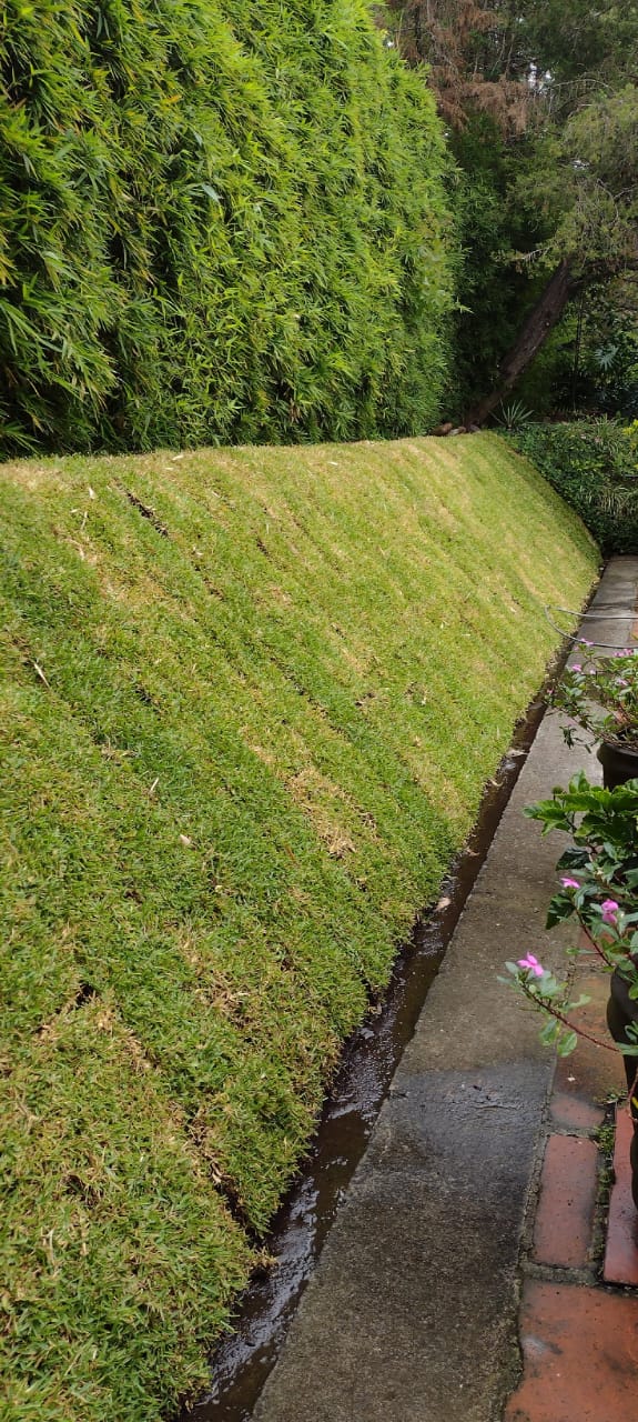 Jardinería México 4
