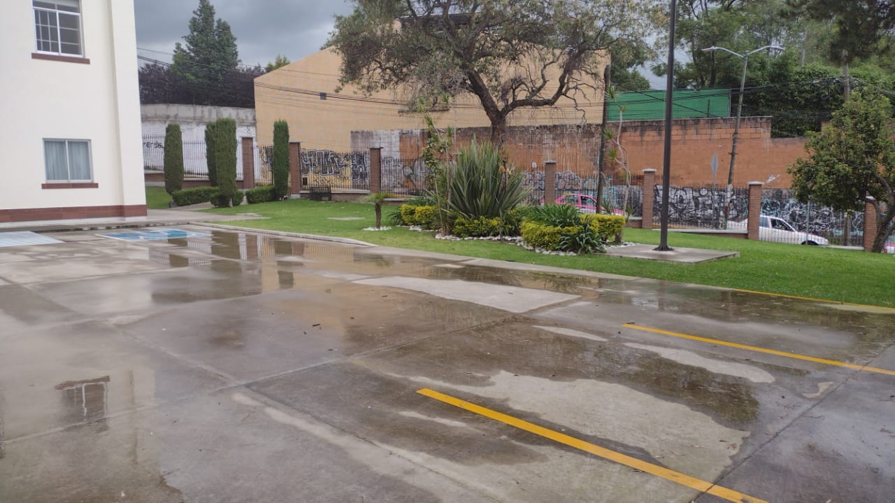 Jardinería México 6