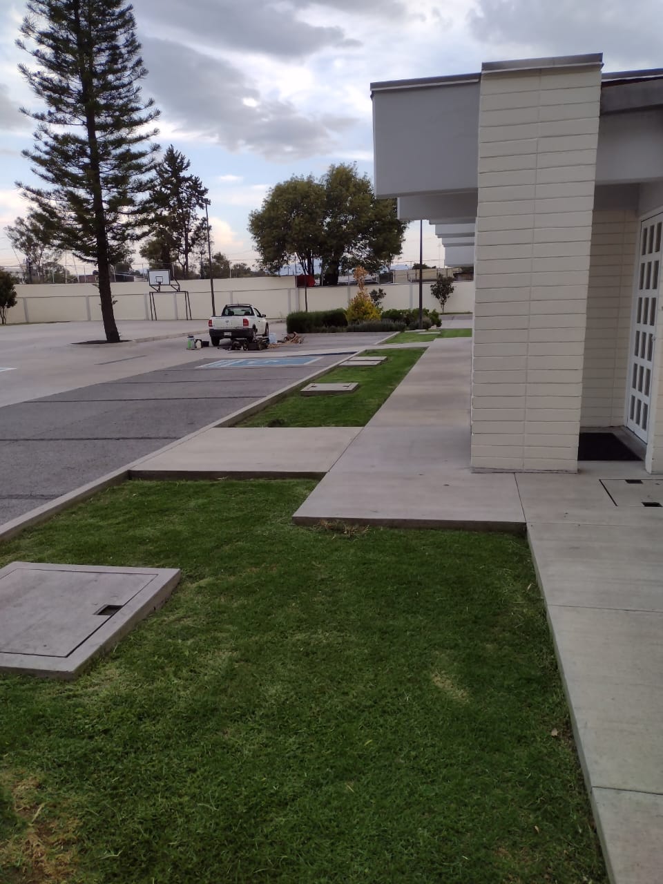 Jardinería México 7