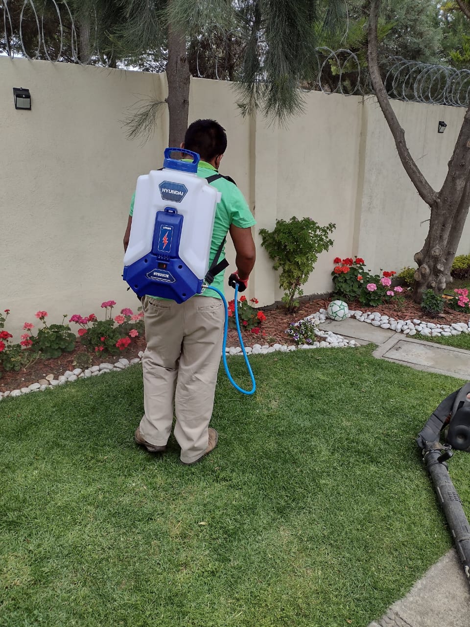 Jardinería México 8