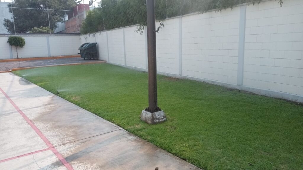 Jardinería México 9